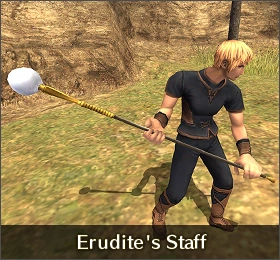 Erudite’s Staff